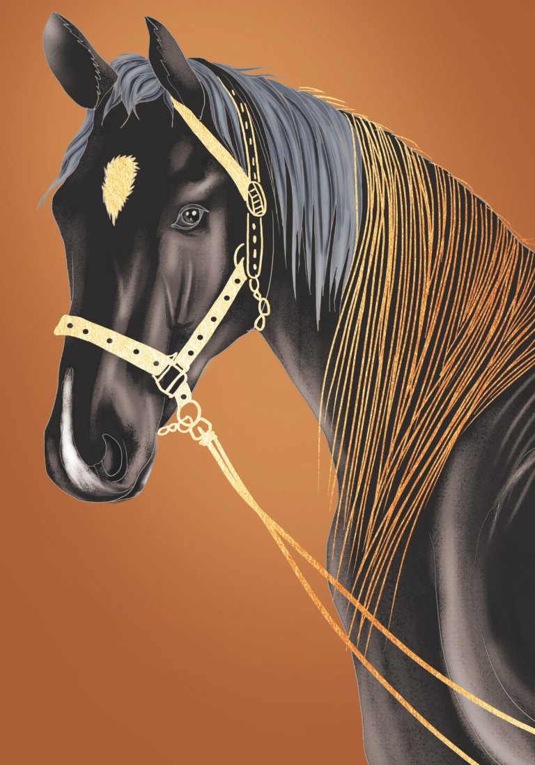 Horse design with rhinestone scaled