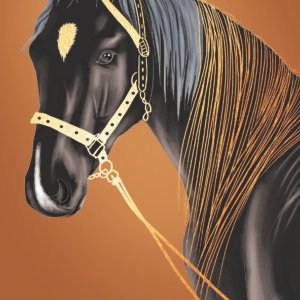 Horse design with rhinestone scaled
