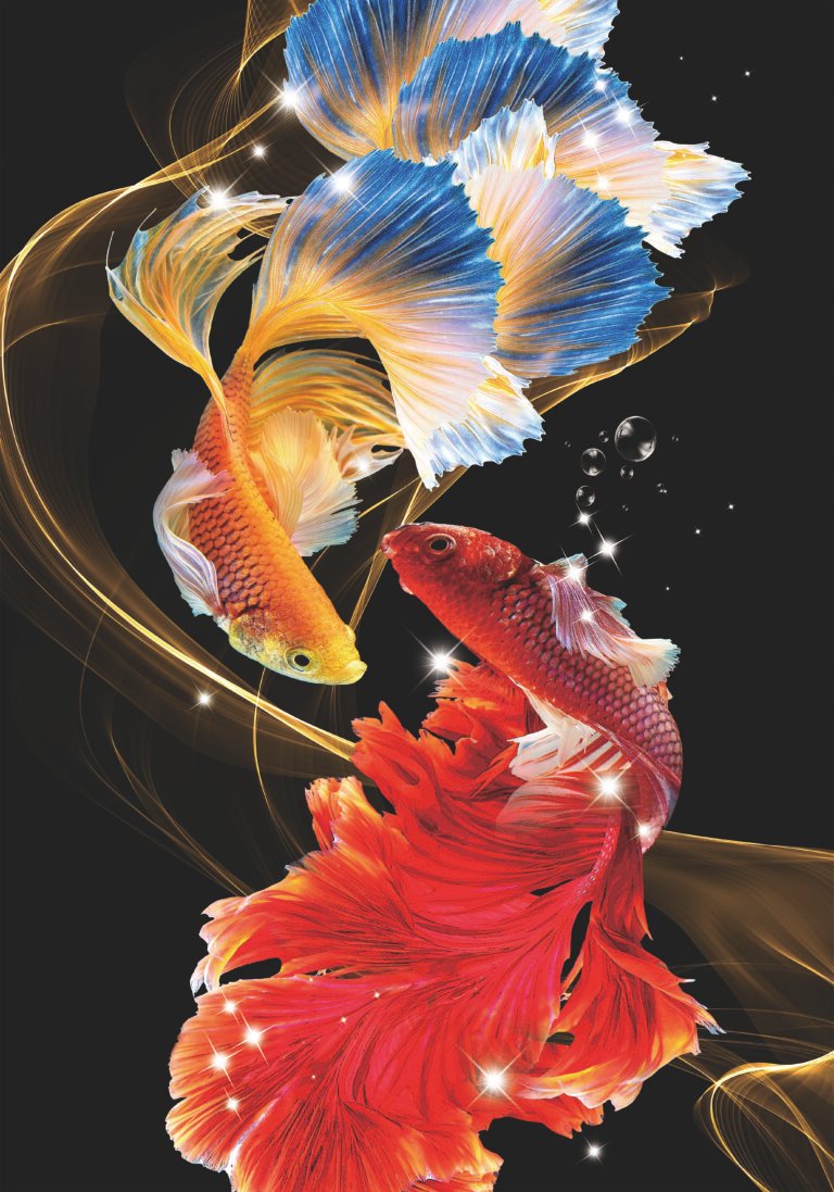 Khoi fish design with rhinestone scaled