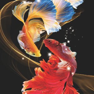Khoi fish design with rhinestone scaled