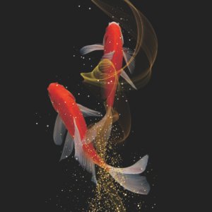 Khoi fish design with rhinestone scaled