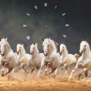Horse design with rhinestone and clock