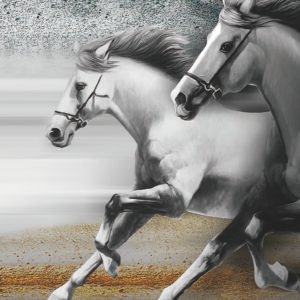 Horse design with rhinestone scaled