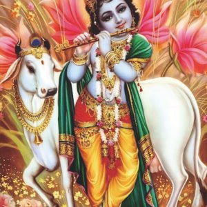 6 Indian religion with rhinestone